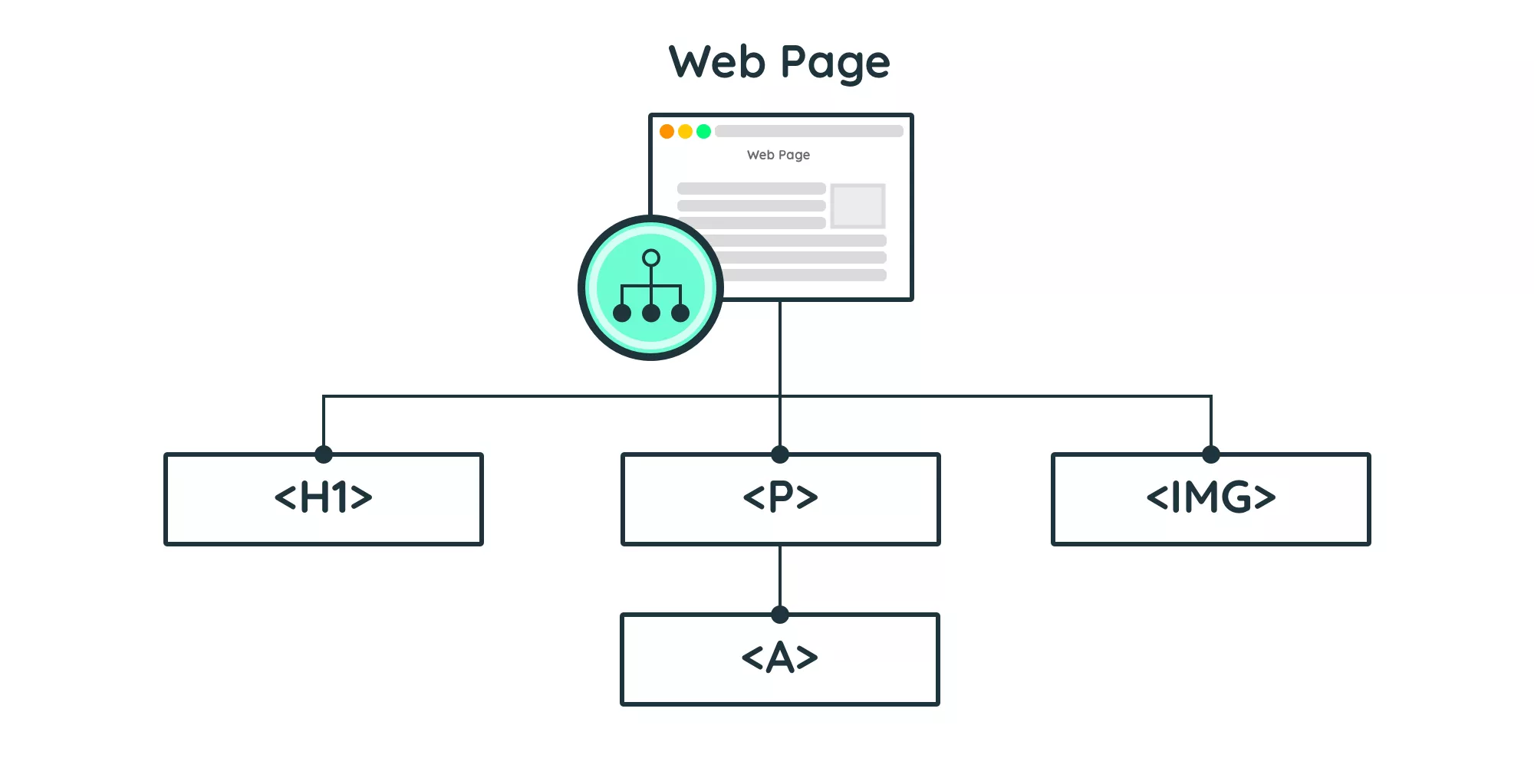 HTML Tree